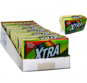 XTRA SCRUBBING SPONGE HD 2CT 24/CS-00709